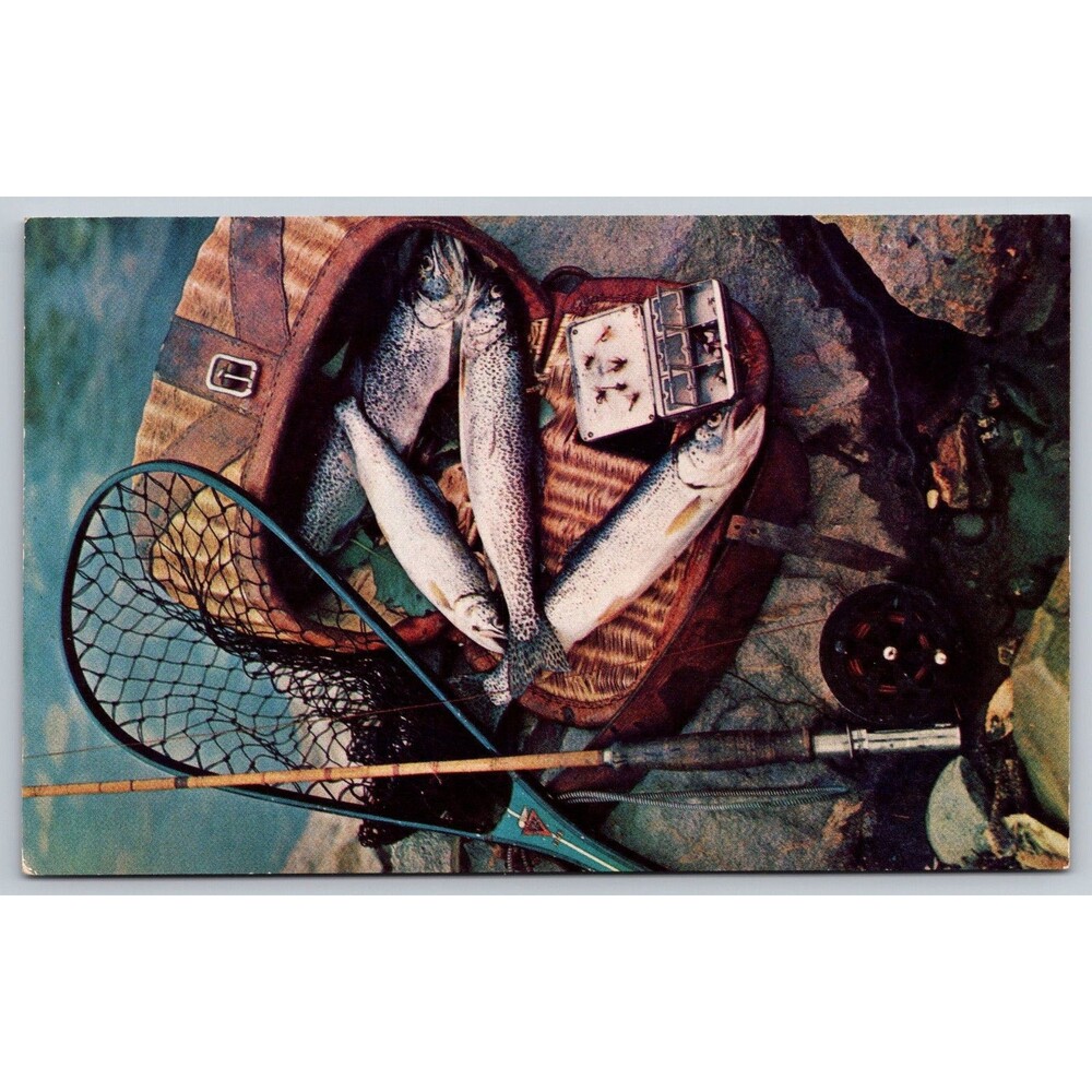 Postcard Trout Fly Fishing Catch Rod Reel Net Flies Basket Unposted c1960s